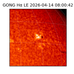 gong - 2026-04-14T08:00:42