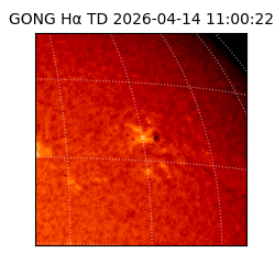 gong - 2026-04-14T11:00:22