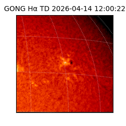 gong - 2026-04-14T12:00:22