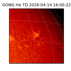 gong - 2026-04-14T16:00:22