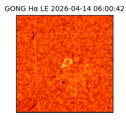 gong - 2026-04-14T06:00:42