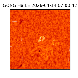 gong - 2026-04-14T07:00:42