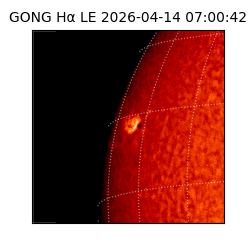 gong - 2026-04-14T07:00:42