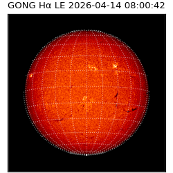 gong - 2026-04-14T08:00:42