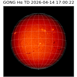gong - 2026-04-14T17:00:22