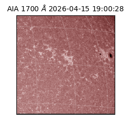 saia - 2026-04-15T19:00:28.446000