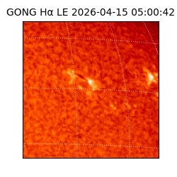 gong - 2026-04-15T05:00:42