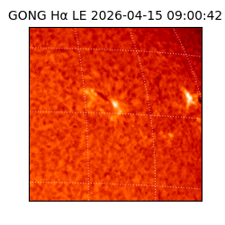 gong - 2026-04-15T09:00:42