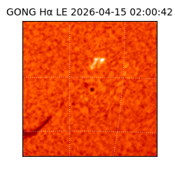 gong - 2026-04-15T02:00:42