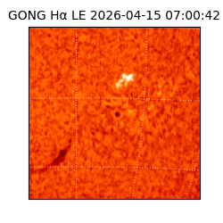 gong - 2026-04-15T07:00:42