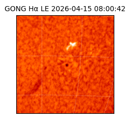 gong - 2026-04-15T08:00:42