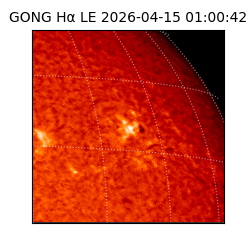 gong - 2026-04-15T01:00:42