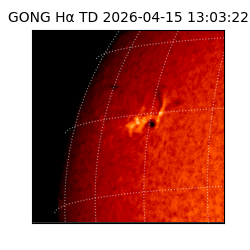 gong - 2026-04-15T13:03:22