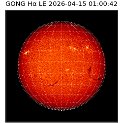 gong - 2026-04-15T01:00:42