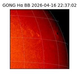gong - 2026-04-16T22:37:02