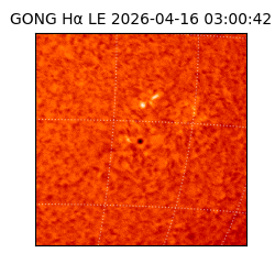 gong - 2026-04-16T03:00:42