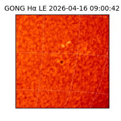 gong - 2026-04-16T09:00:42