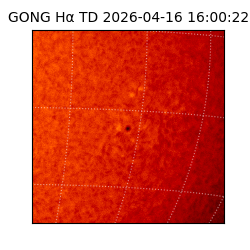 gong - 2026-04-16T16:00:22