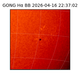 gong - 2026-04-16T22:37:02