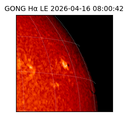 gong - 2026-04-16T08:00:42