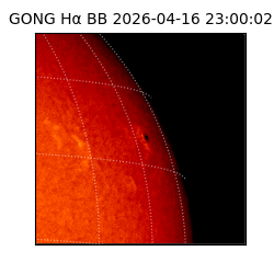 gong - 2026-04-16T23:00:02