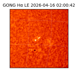 gong - 2026-04-16T02:00:42