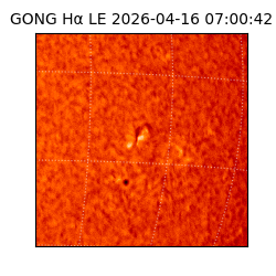 gong - 2026-04-16T07:00:42