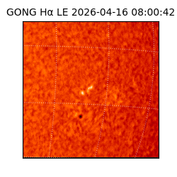 gong - 2026-04-16T08:00:42