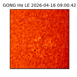 gong - 2026-04-16T09:00:42