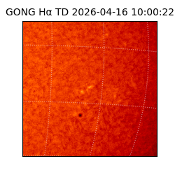 gong - 2026-04-16T10:00:22