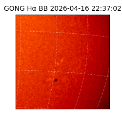 gong - 2026-04-16T22:37:02
