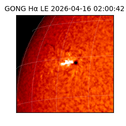 gong - 2026-04-16T02:00:42