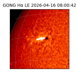 gong - 2026-04-16T08:00:42