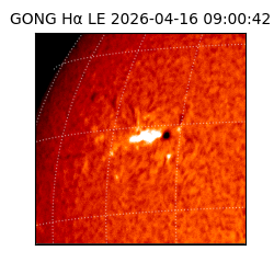 gong - 2026-04-16T09:00:42