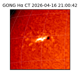 gong - 2026-04-16T21:00:42