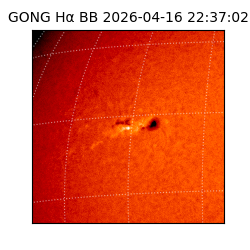 gong - 2026-04-16T22:37:02