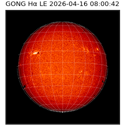 gong - 2026-04-16T08:00:42