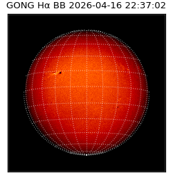 gong - 2026-04-16T22:37:02