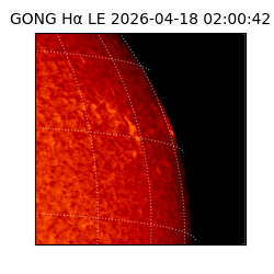 gong - 2026-04-18T02:00:42