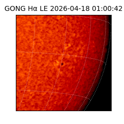 gong - 2026-04-18T01:00:42