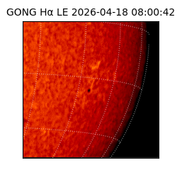 gong - 2026-04-18T08:00:42