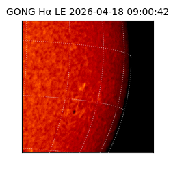 gong - 2026-04-18T09:00:42