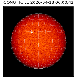 gong - 2026-04-18T06:00:42