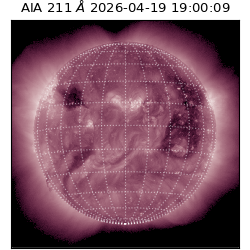 saia - 2026-04-19T19:00:09.624000