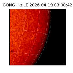 gong - 2026-04-19T03:00:42