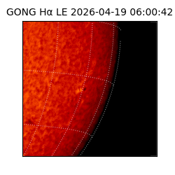 gong - 2026-04-19T06:00:42