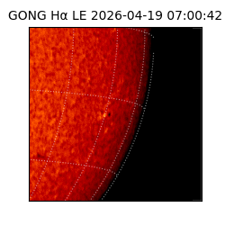 gong - 2026-04-19T07:00:42