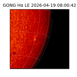 gong - 2026-04-19T08:00:42