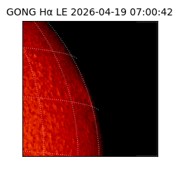 gong - 2026-04-19T07:00:42
