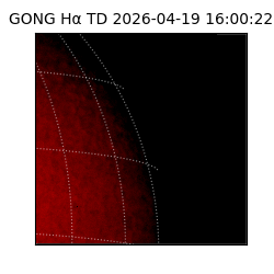 gong - 2026-04-19T16:00:22